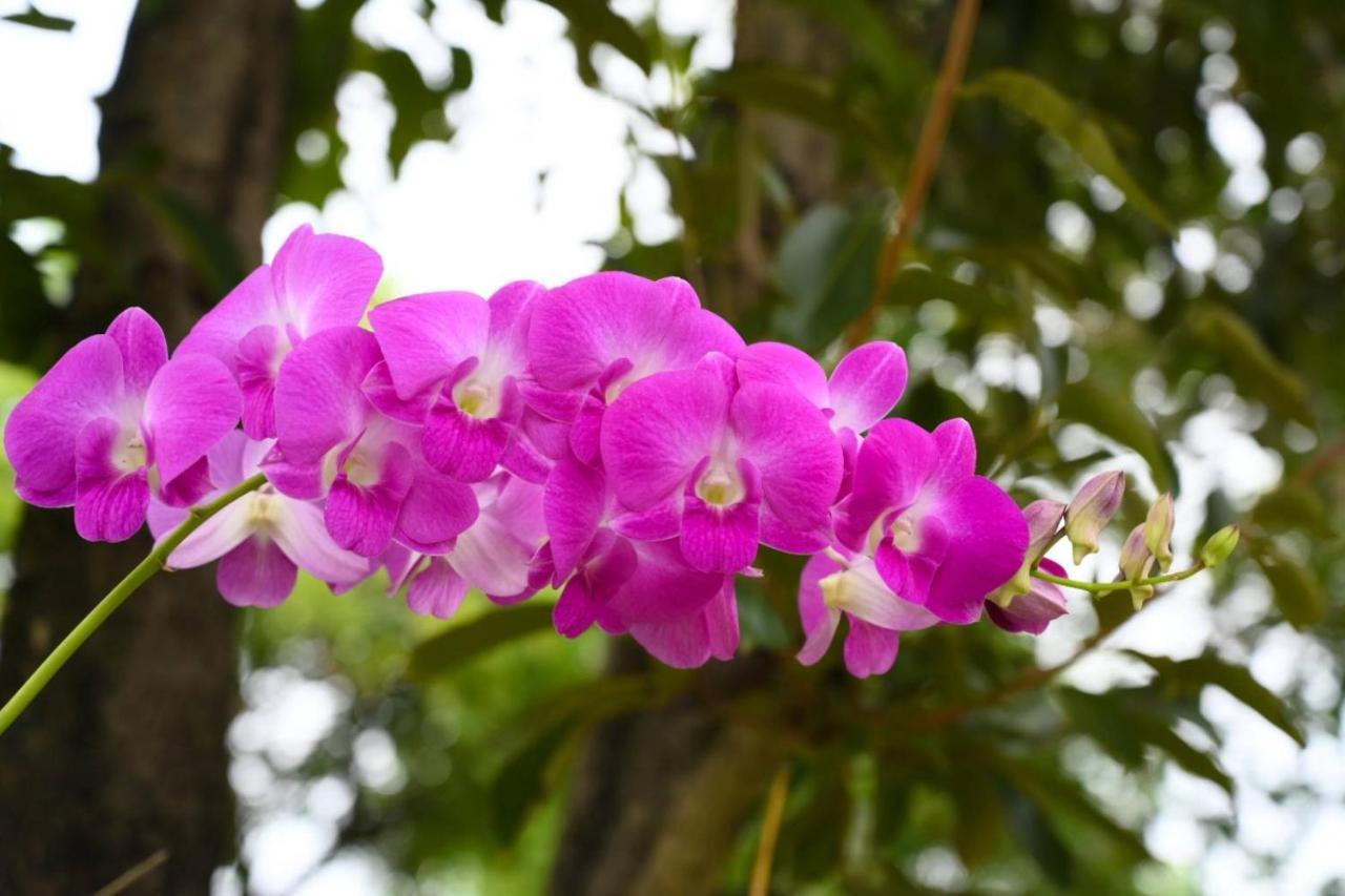 Baan Nern Khao Resort Pattaya Ban Huai Yai Luaran gambar